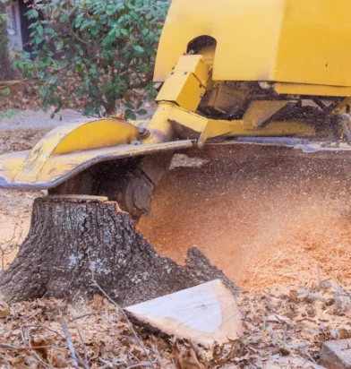 StumpGrindingMachineryWork-392x412