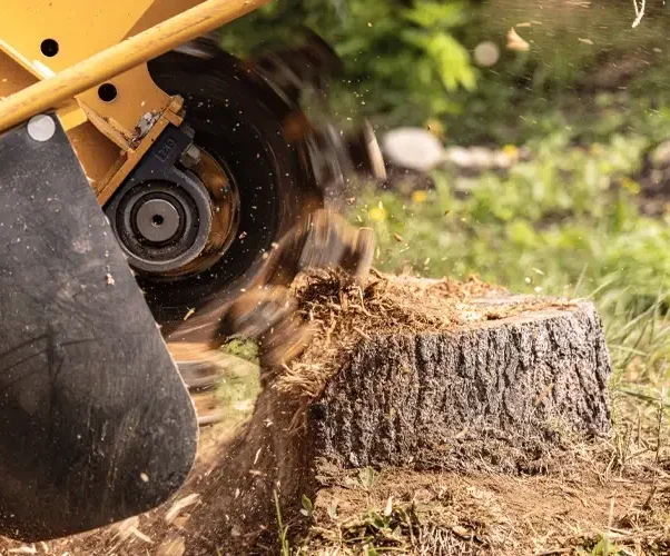 bulldozer-heavy-equipment-land-clearing-602x500
