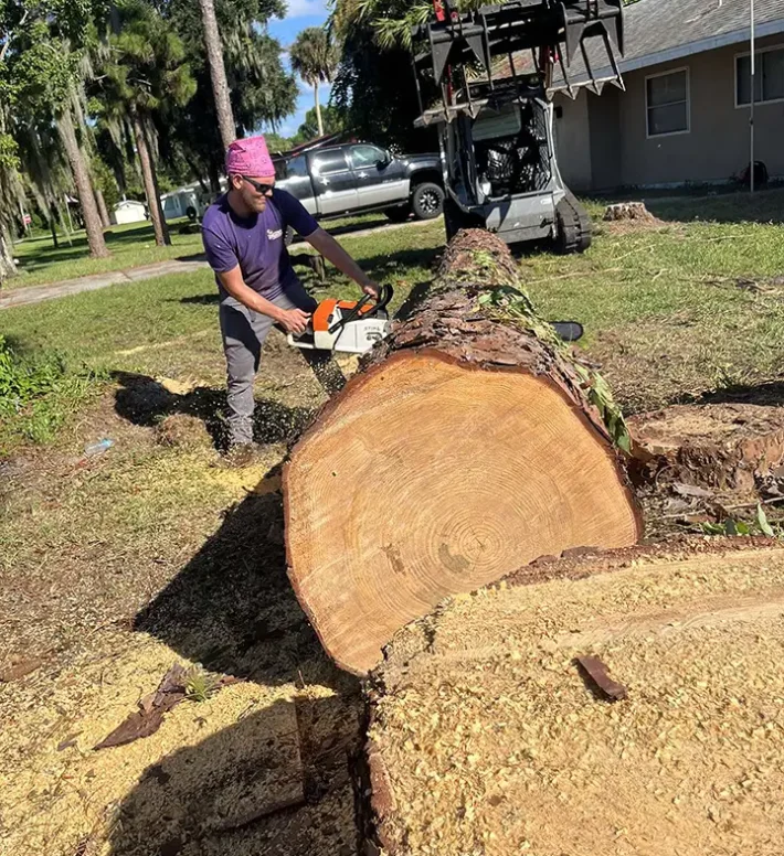 A large fallen tree trunk surrounded by lush, overgrown vegetation in a Florida backyard setting