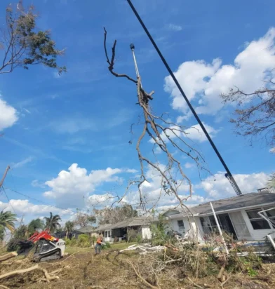 Overgrown and tangled vegetation in a tropical Florida backyard, with a crane lifting debris and branches in the foreground
