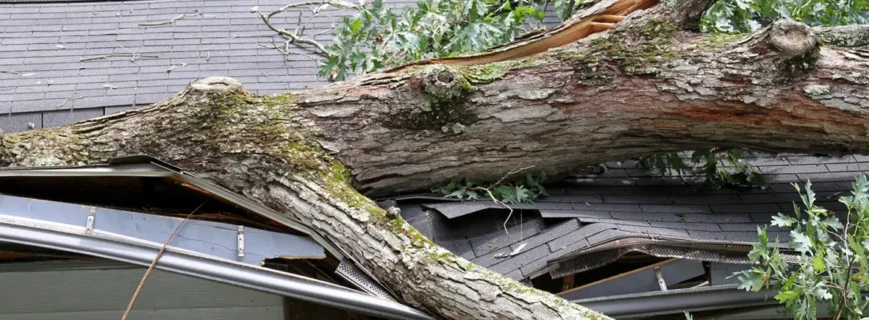 Large tree fallen through roof of a home, storm damage