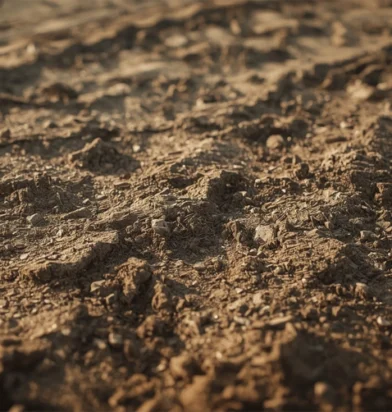 Freshly graded soil by land grading services