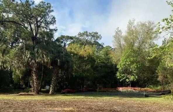 cleared-land-after-stump-clearing