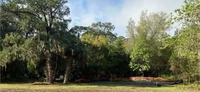 cleared-land-after-stump-clearing