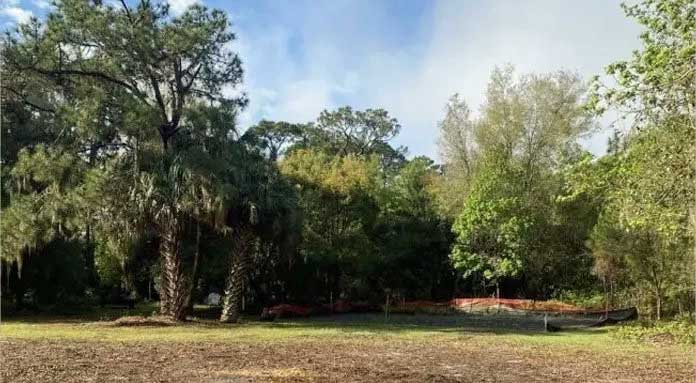 cleared-land-after-stump-clearing