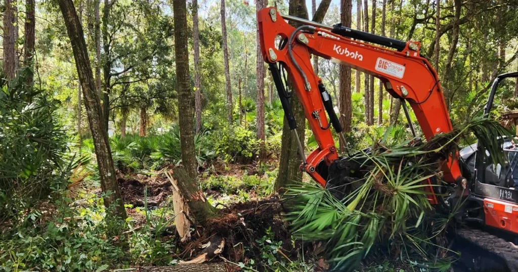 HomeGrown Outdoors worker using a machine to clean and trim palm tree leaves in Florida