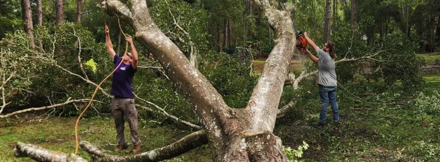 Tree Removal Cleanup Crew – HomeGrown Outdoors Florida HomeGrown Outdoors crew cleaning up and removing a freshly cut tree from a Florida yard
