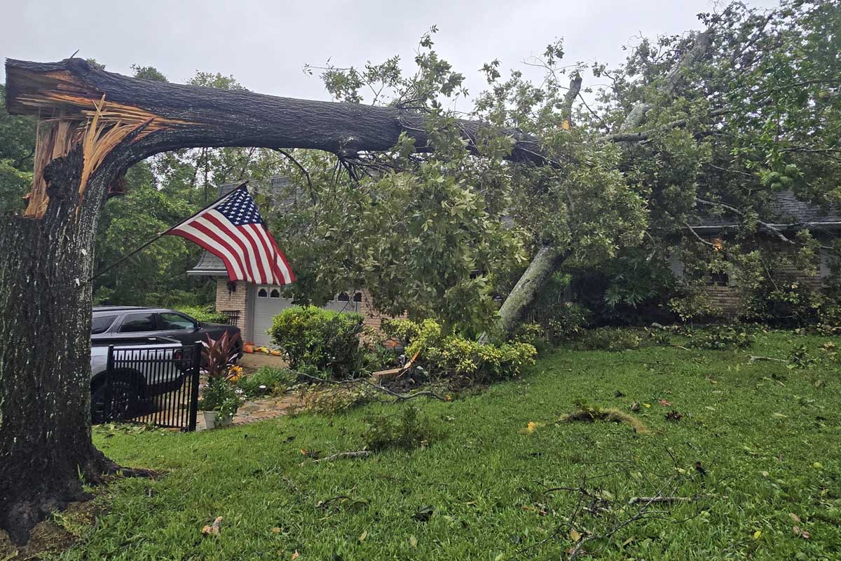A large tree has fallen and is split in half, resting on a house and car in a residential yard. An American flag hangs nearby.