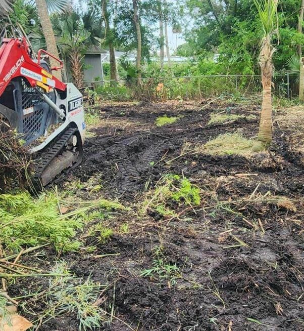 A small skid steer loader clears fallen branches and debris from a muddy, partially cleared yard surrounded by trees and vegetation.