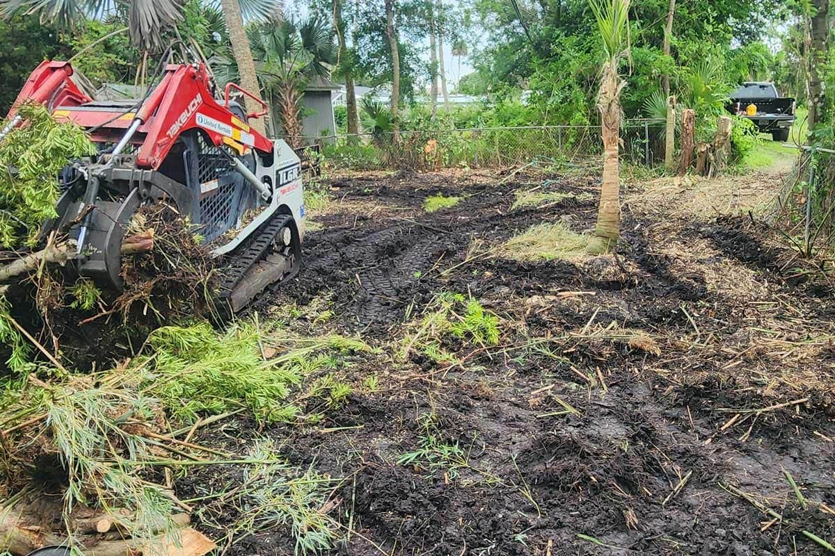 A small skid steer loader clears fallen branches and debris from a muddy, partially cleared yard surrounded by trees and vegetation.