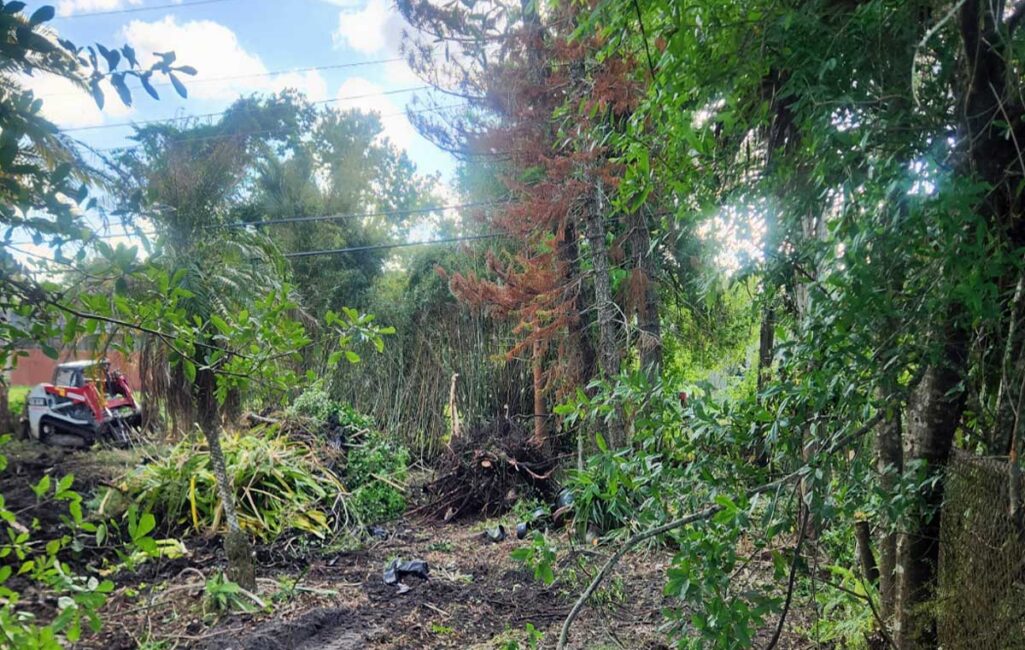 A partially cleared area with piles of cut branches and vegetation, surrounded by trees and greenery. A red vehicle is visible on the left side.