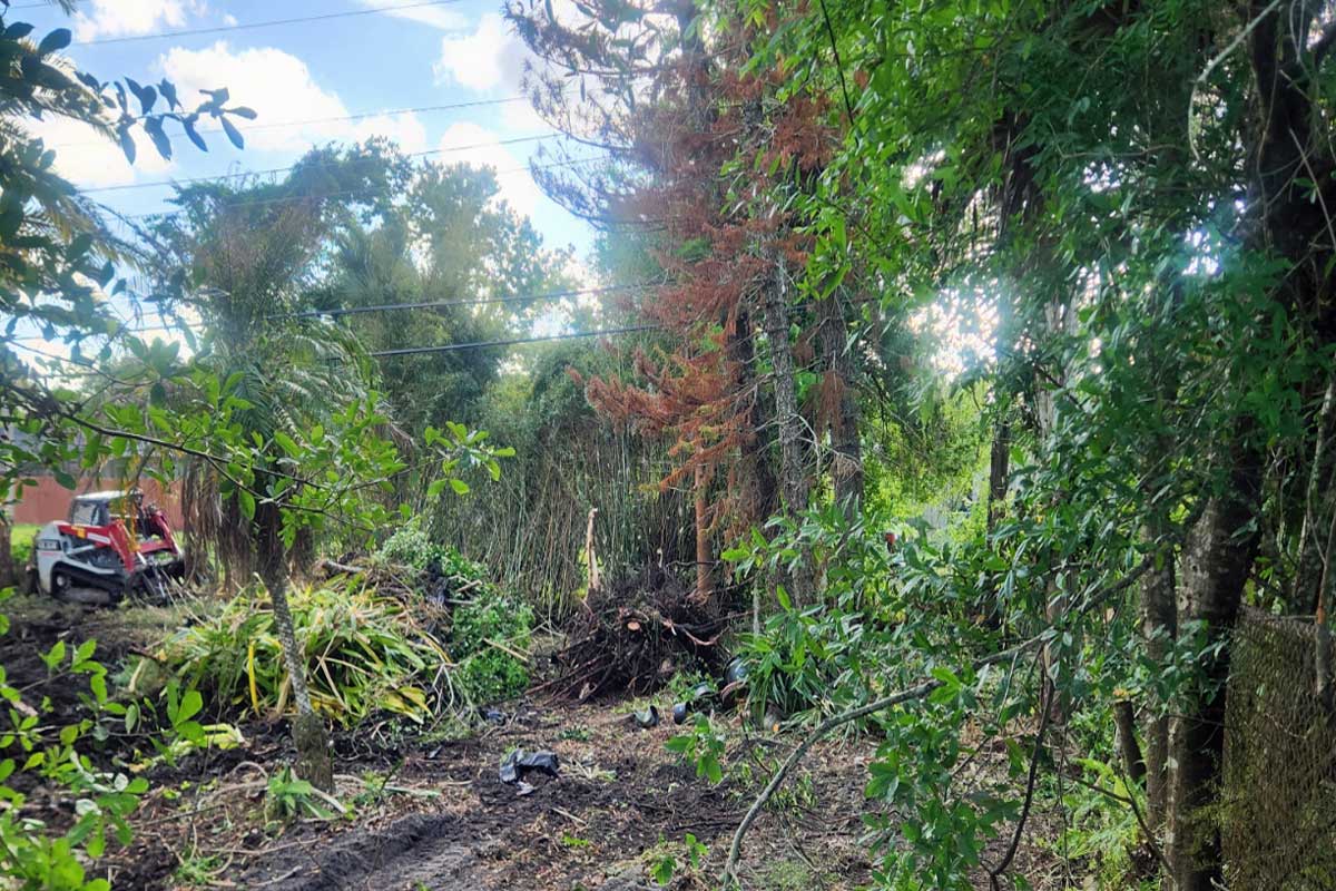 A partially cleared area with piles of cut branches and vegetation, surrounded by trees and greenery. A red vehicle is visible on the left side.